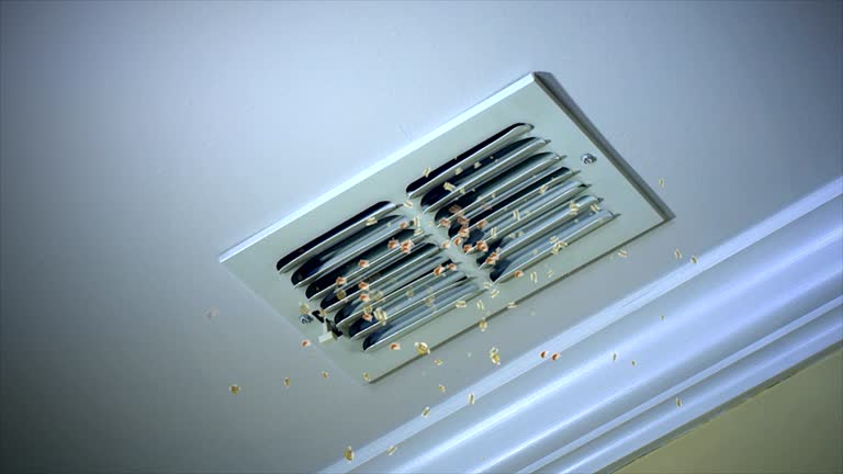 Best Home Air Vent Cleaning  in Takoma Park, MD