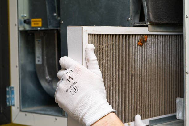 Best Air Quality Test  in Takoma Park, MD